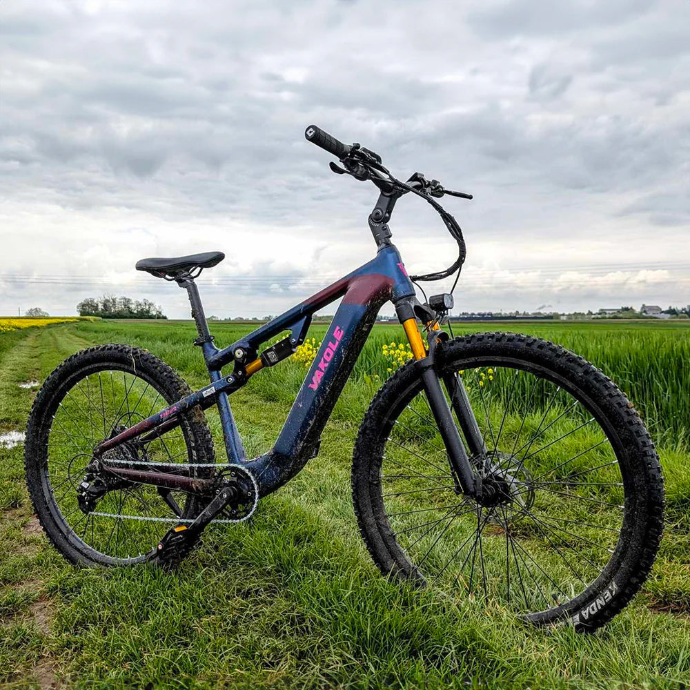 Vakole EMT29 250W 29" E-Mountain Bike 720Wh Cross-Country Full Suspension EMTB with Torque Sensor 48V 15Ah Battery [Pre-Order]