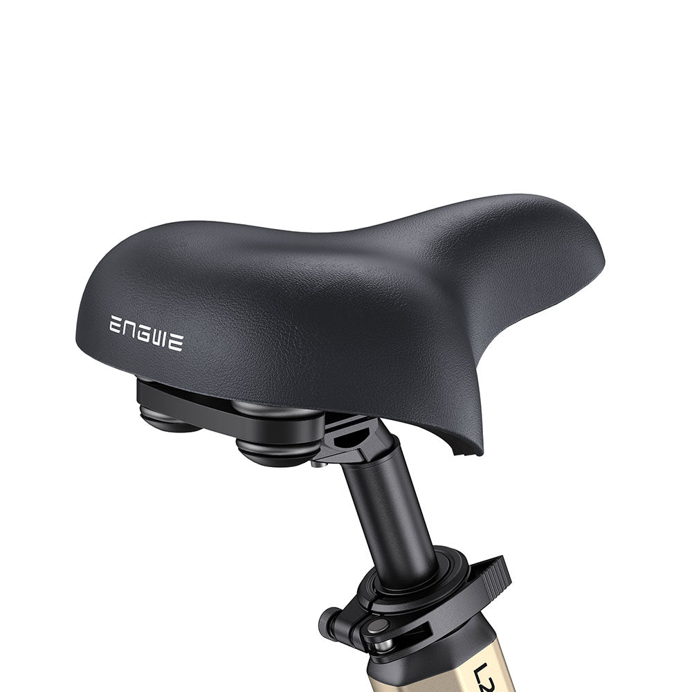 Engwe L20 3.0 PRO 250W Mid-drive Motor 20" Foldable Electric Bike 720Wh Step-through E-bike Support Apps