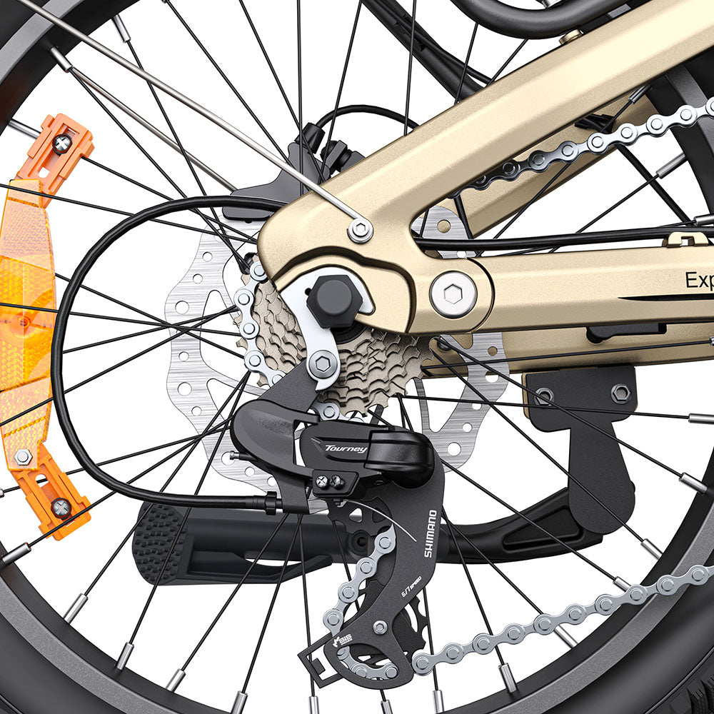 Engwe L20 3.0 PRO 250W Mid-drive Motor 20" Foldable Electric Bike 720Wh Step-through E-bike Support Apps