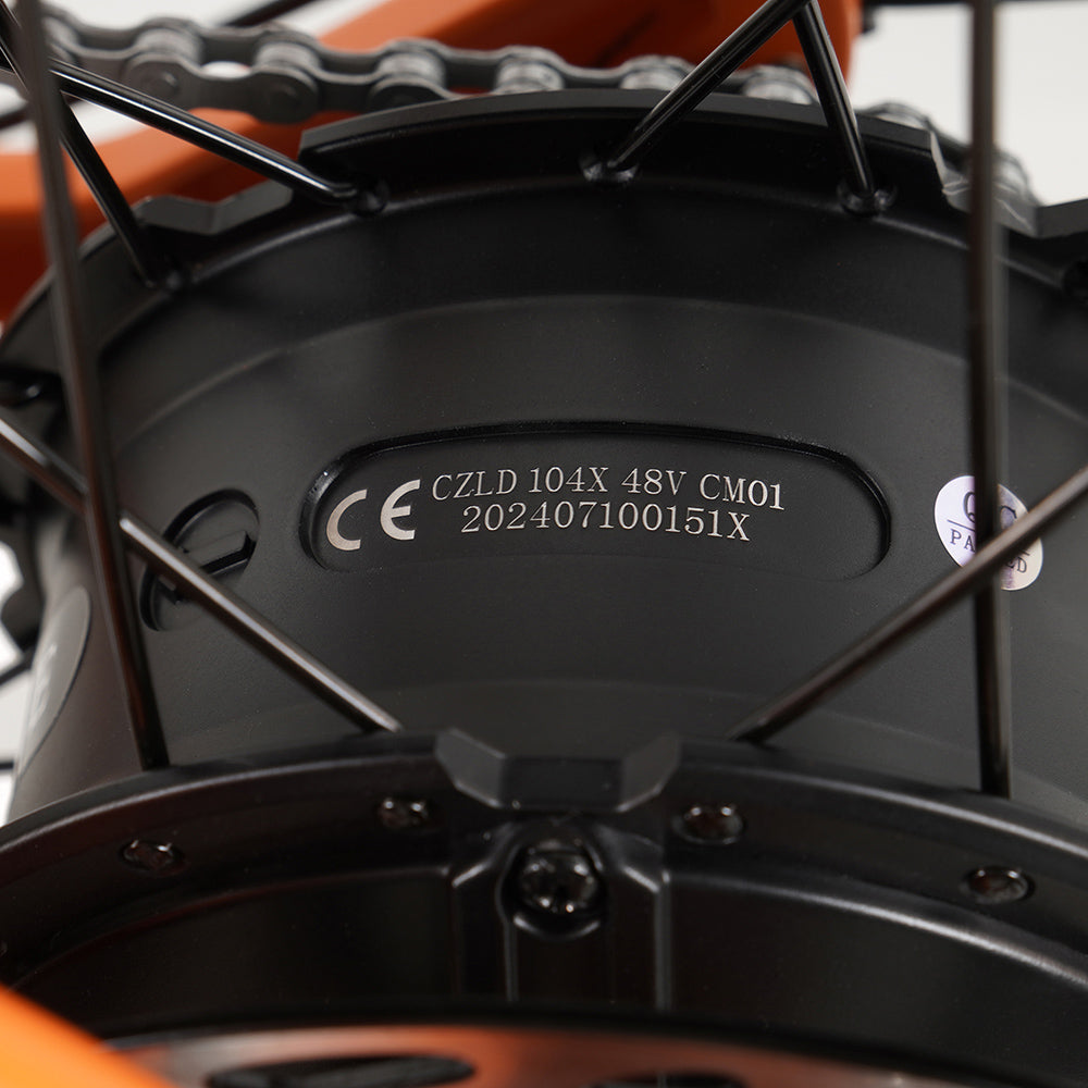 Vakole SG20 250W 20" Electric Fat Bike 691Wh Utlity E-bike 48V 14.4Ah Battery