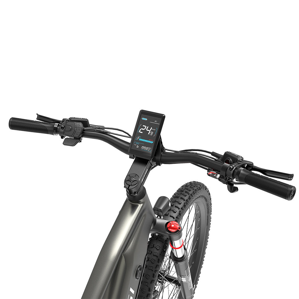 Lankeleisi RX600 Pro 250W 29" Trail E-Mountain Bike 960Wh EMTB with Torque Sensor 48V 20Ah Battery