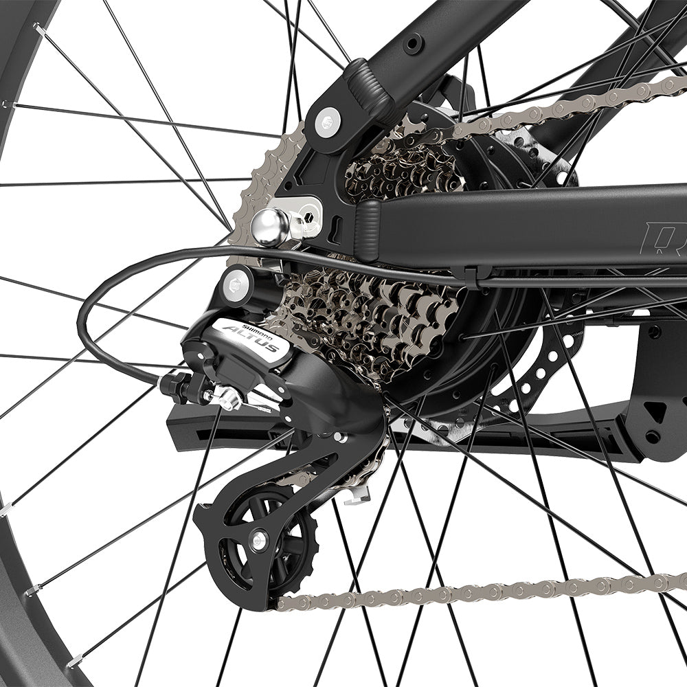 Lankeleisi RX600 Pro 250W 29" Trail E-Mountain Bike 960Wh EMTB with Torque Sensor 48V 20Ah Battery