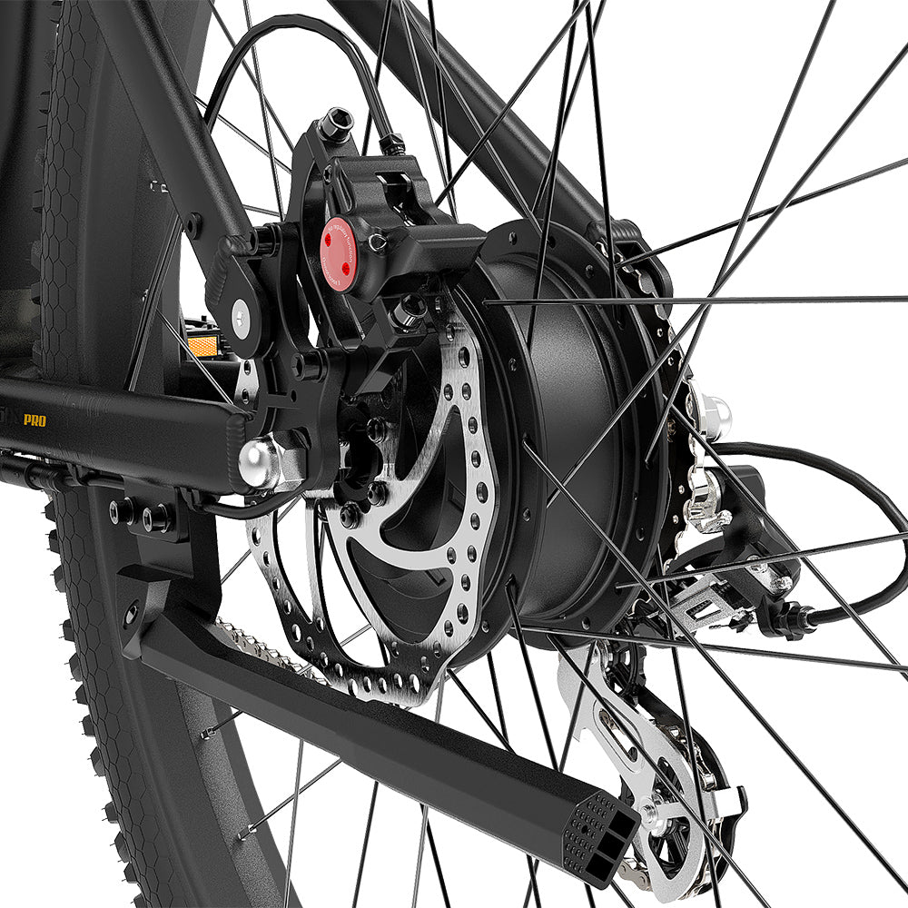 Lankeleisi RX600 Pro 250W 29" Trail E-Mountain Bike 960Wh EMTB with Torque Sensor 48V 20Ah Battery