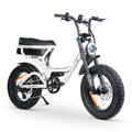 ACE-S PRO Electric Bike