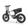 ACE-X Demon Dual Electric Bike