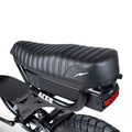 ACE-S PRO Electric Bike