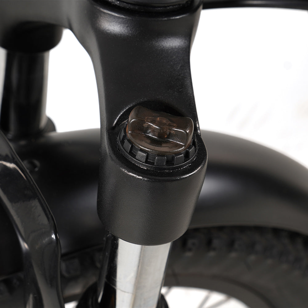 Vakole VT4 2025 Version 250W 20" Foldable Electric Bike 468Wh Compact Step-through E-bike 36V 13Ah Battery [Pre-Order]