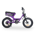 ACE-S PRO Electric Bike