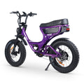 ACE-S PRO Electric Bike
