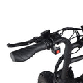 ACE-X Demon Dual Electric Bike