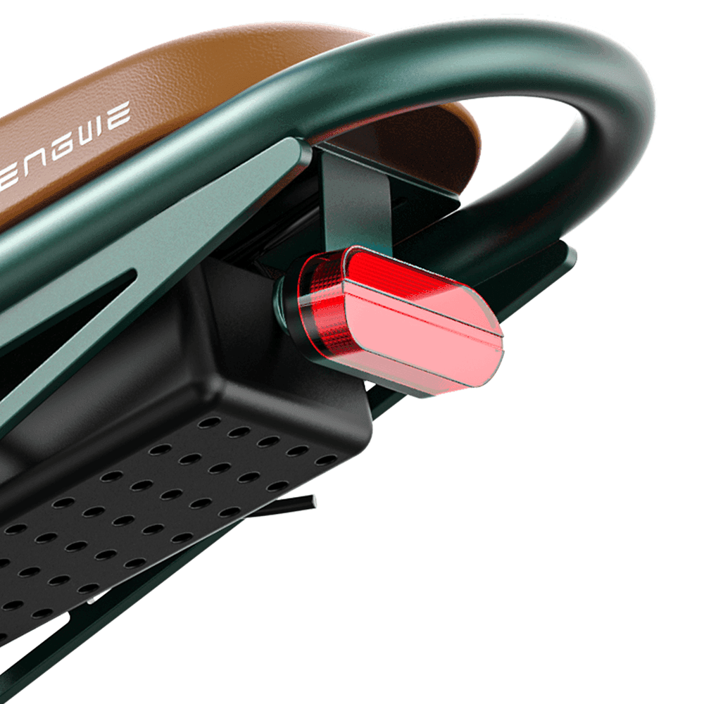 Engwe M20 750W 20" Fat Bike E Mountain Bike EMTB