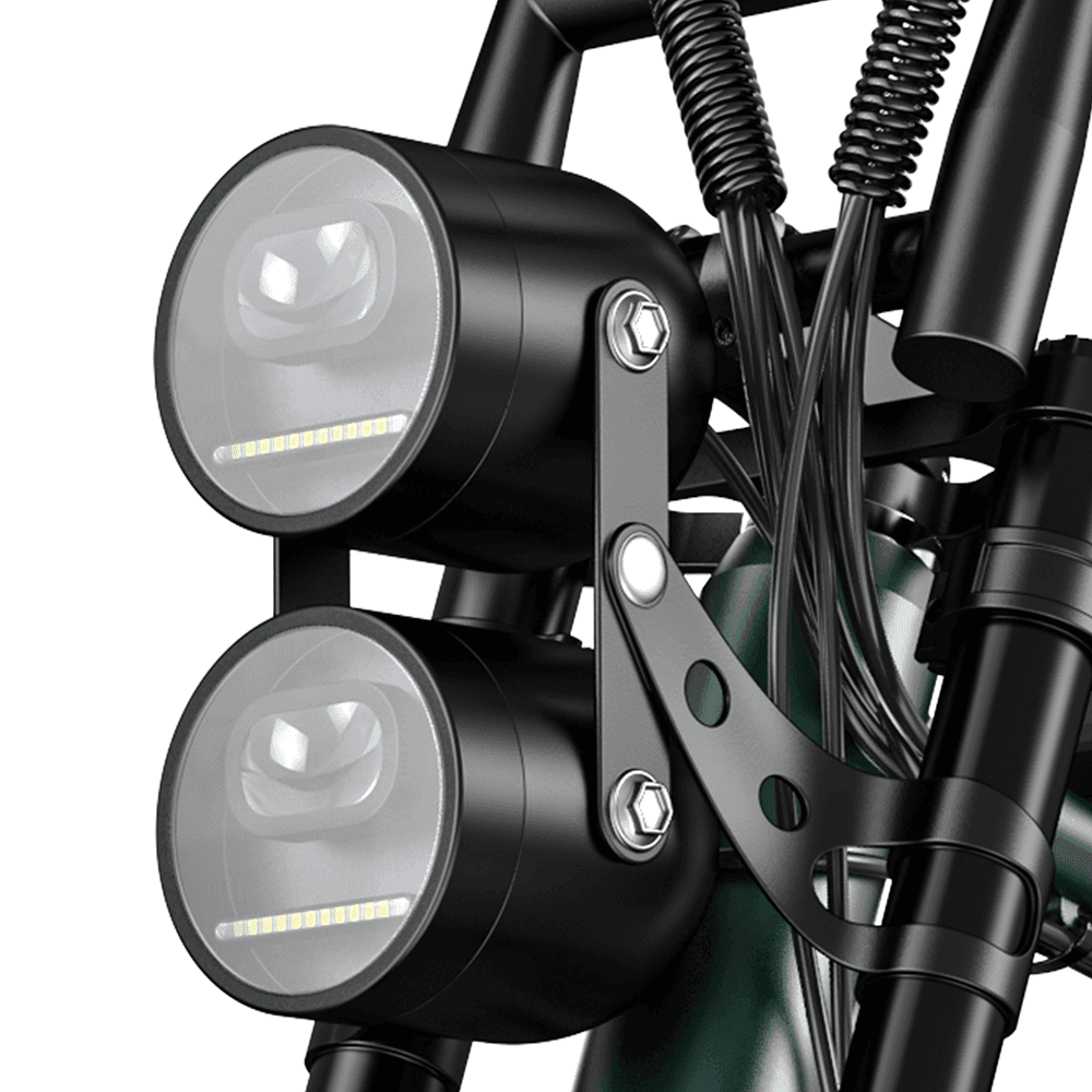 Engwe M20 750W 20" Fat Bike E Mountain Bike EMTB