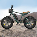 Engwe M20 750W 20" Fat Bike E Mountain Bike EMTB