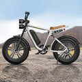 Engwe M20 750W 20" Fat Bike E Mountain Bike EMTB