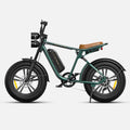 Engwe M20 750W 20" Fat Bike E Mountain Bike EMTB