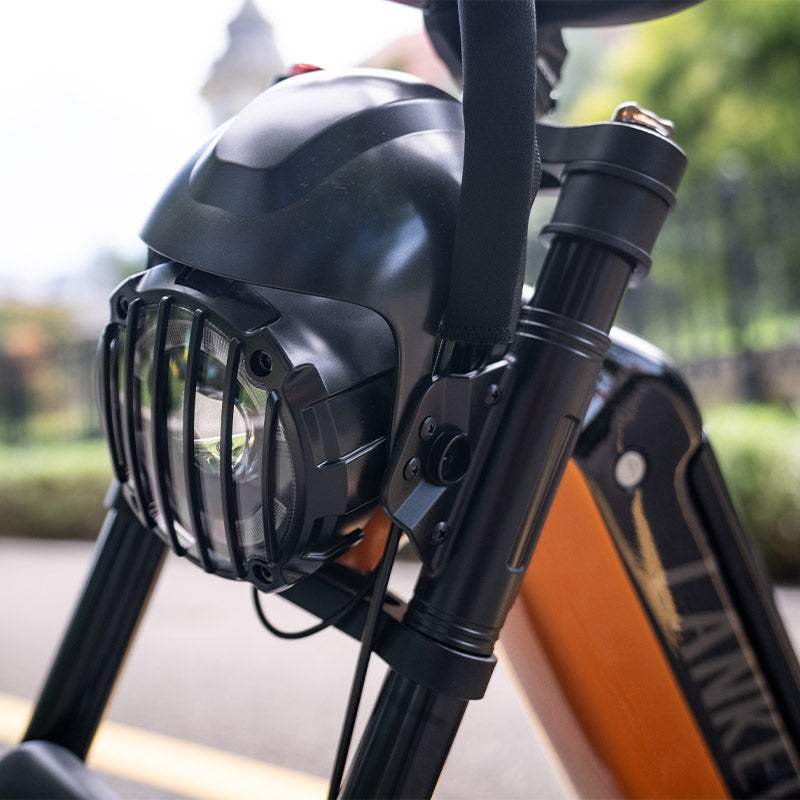 Lankeleisi RX800 Plus 2025 Version 1000W 20" Fat Bike 960Wh Full Suspension Electric Bike with Torque Sensor 48V 20Ah Battery SUV E-Bike [Pre-Order]