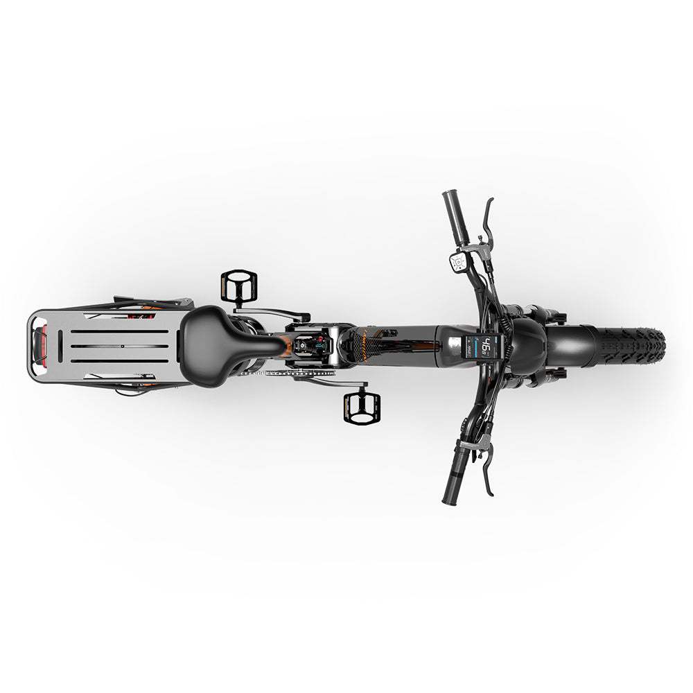 Lankeleisi RX800 Plus 2025 Version 1000W 20" Fat Bike 960Wh Full Suspension Electric Bike with Torque Sensor 48V 20Ah Battery SUV E-Bike [Pre-Order]