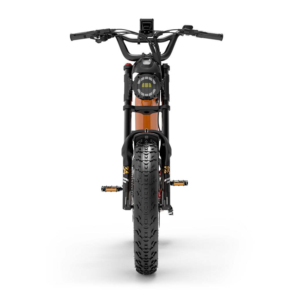 Lankeleisi RX800 Plus 2025 Version 1000W 20" Fat Bike 960Wh Full Suspension Electric Bike with Torque Sensor 48V 20Ah Battery SUV E-Bike [Pre-Order]
