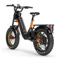 Lankeleisi RX800 Plus 2025 Version 1000W 20" Fat Bike 960Wh Full Suspension Electric Bike with Torque Sensor 48V 20Ah Battery SUV E-Bike [Pre-Order]