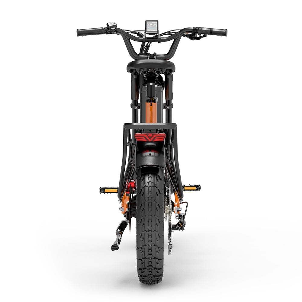 Lankeleisi RX800 Plus 2025 Version 1000W 20" Fat Bike 960Wh Full Suspension Electric Bike with Torque Sensor 48V 20Ah Battery SUV E-Bike [Pre-Order]