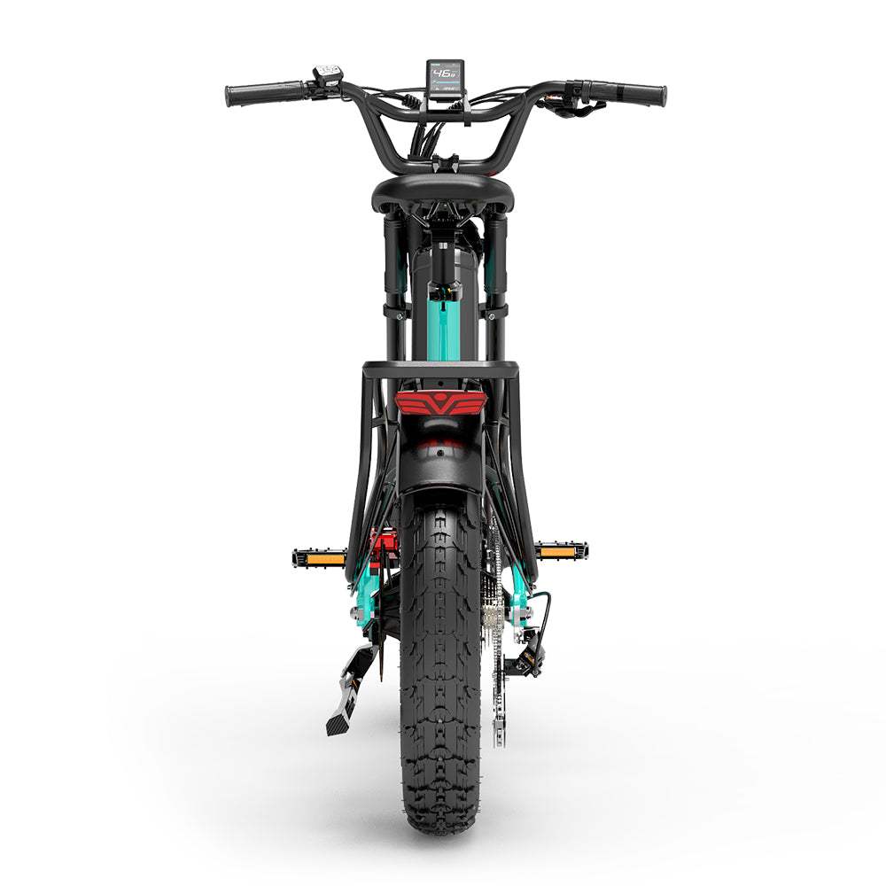 Lankeleisi RX800 Plus 2025 Version 1000W 20" Fat Bike 960Wh Full Suspension Electric Bike with Torque Sensor 48V 20Ah Battery SUV E-Bike [Pre-Order]