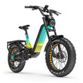 Lankeleisi RX800 Plus 2025 Version 1000W 20" Fat Bike 960Wh Full Suspension Electric Bike with Torque Sensor 48V 20Ah Battery SUV E-Bike [Pre-Order]