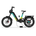 Lankeleisi RX800 Plus 2025 Version 1000W 20" Fat Bike 960Wh Full Suspension Electric Bike with Torque Sensor 48V 20Ah Battery SUV E-Bike [Pre-Order]