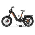 Lankeleisi RX800 Plus 2025 Version 1000W 20" Fat Bike 960Wh Full Suspension Electric Bike with Torque Sensor 48V 20Ah Battery SUV E-Bike [Pre-Order]