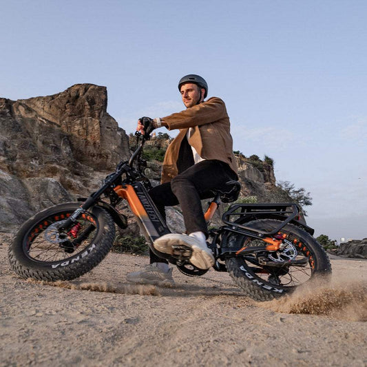 Lankeleisi RX800 Plus 2025 Version 1000W 20" Fat Bike 960Wh Full Suspension Electric Bike with Torque Sensor 48V 20Ah Battery SUV E-Bike [Pre-Order]