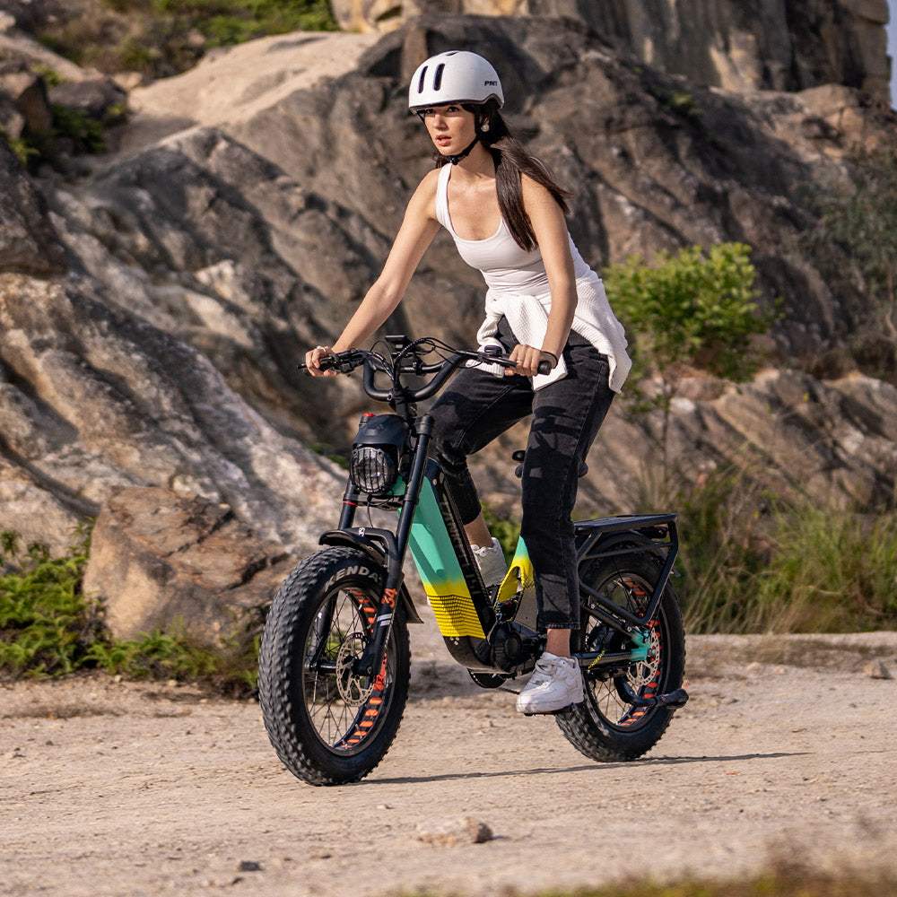 Lankeleisi RX800 Plus 2025 Version 1000W 20" Fat Bike 960Wh Full Suspension Electric Bike with Torque Sensor 48V 20Ah Battery SUV E-Bike [Pre-Order]