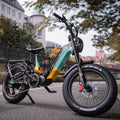 Lankeleisi RX800 Plus 2025 Version 1000W 20" Fat Bike 960Wh Full Suspension Electric Bike with Torque Sensor 48V 20Ah Battery SUV E-Bike [Pre-Order]