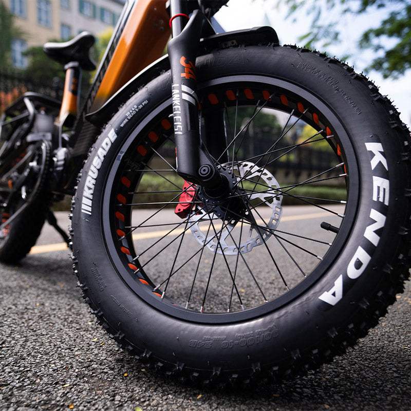 Lankeleisi RX800 Plus 2025 Version 1000W 20" Fat Bike 960Wh Full Suspension Electric Bike with Torque Sensor 48V 20Ah Battery SUV E-Bike [Pre-Order]