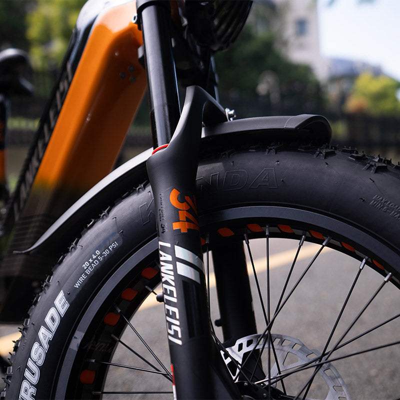 Lankeleisi RX800 Plus 2025 Version 1000W 20" Fat Bike 960Wh Full Suspension Electric Bike with Torque Sensor 48V 20Ah Battery SUV E-Bike [Pre-Order]