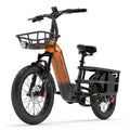 Lankeleisi Wombat-1 1000W 20" Electric Bike 960Wh Longtail Cargo E-Bike With Torque Sensor 48V 20Ah Battery